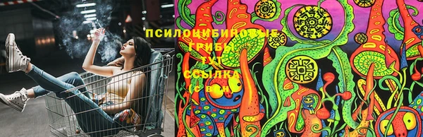 шишки Алексин