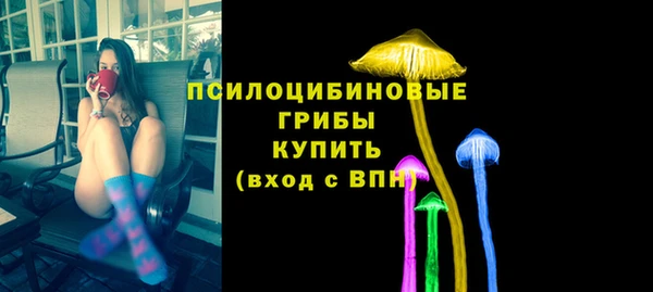 прущий лед Алзамай
