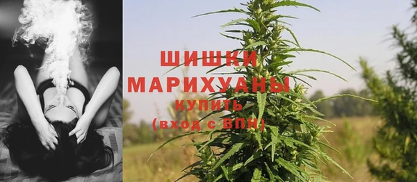 шишки Алексин