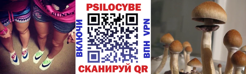 Галлюциногенные грибы Cubensis Бавлы